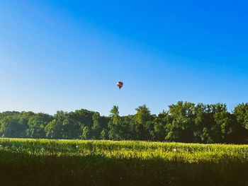 hot air balloon