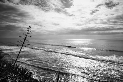 Scenic view of sea against cloudy sky on sunny day