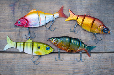 Close-up of fish on wood