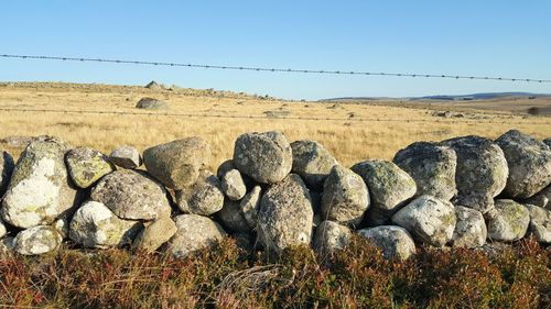 Scenic view of rocks on field against clear sky