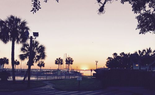 Scenic view of trees at sunset