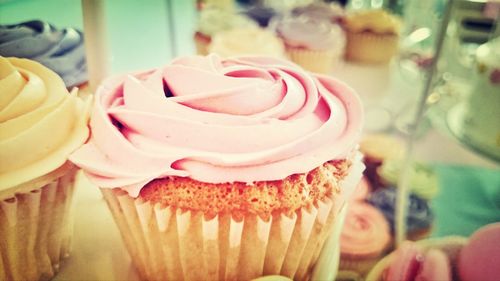 Close-up of cupcakes