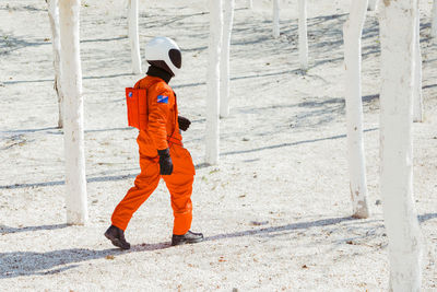 Side view of unrecognizable male cosmonaut in bright orange spacesuit and helmet walking on sandy ground amidst white trees on sunny day on new planet