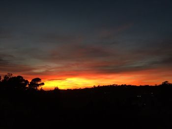 Silhouette of trees at sunset