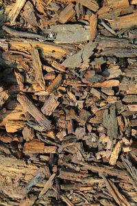 wood - material