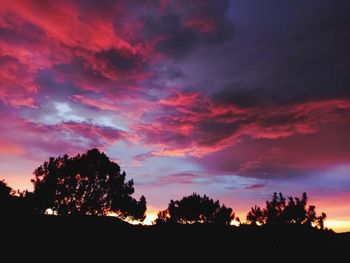 Low angle view of silhouette trees against dramatic sky