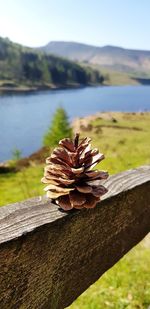 Close-up of leaf on wood by lake against sky