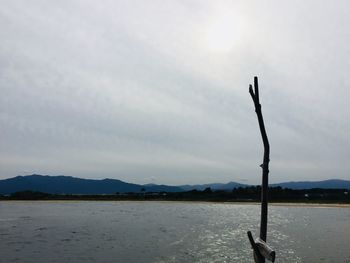 Silhouette tree by lake against sky