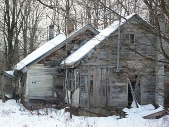 House and frozen bare trees during winter