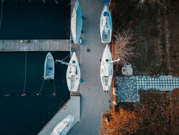 High angle view of plants hanging by sea