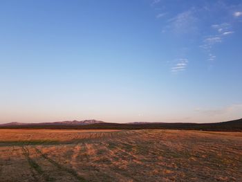 Scenic view of agricultural field against blue sky