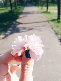 Close-up of hand holding flower