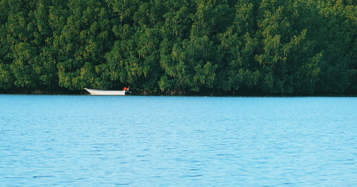 Scenic view of sea against trees in forest