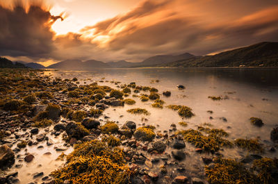 Sunset on a lake in the scottish highlands