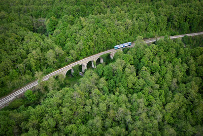 High angle view of road amidst trees