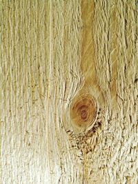 Full frame shot of tree trunk