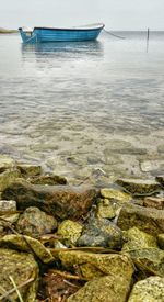 Boats in sea