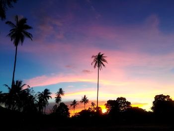 Low angle view of silhouette palm trees against romantic sky