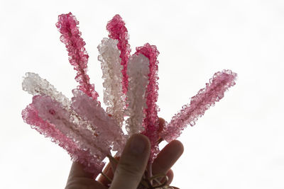 Close-up of hand holding ice cream over white background