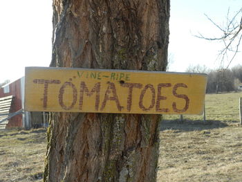 Close-up of information sign on tree trunk