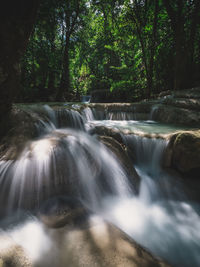 Scenic view of waterfall in forest