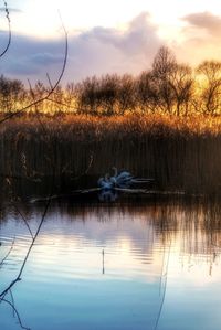 Scenic view of lake against sky