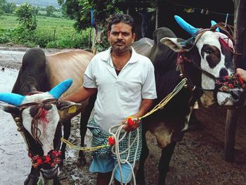 Cows on field