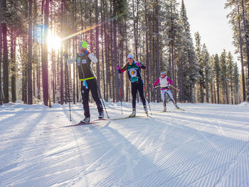 People skiing on snow covered trees