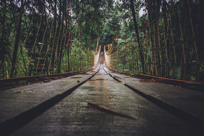 Surface level of walkway amidst trees in forest