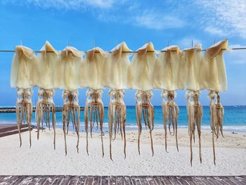 Panoramic view of chairs on beach against blue sky