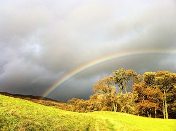 Scenic view of rainbow over field