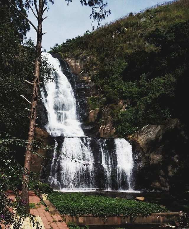 waterfall, motion, flowing water, long exposure, flowing, water, tree, scenics, nature, beauty in nature, forest, rock - object, blurred motion, plant, environment, day, stream, splashing, tranquil scene, non-urban scene