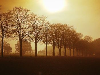 Silhouette trees on field against sky during sunset