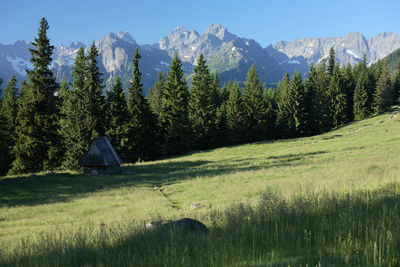 Scenic view of green landscape and mountains against sky