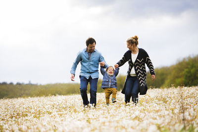 Parents walking with little boy in dandelion field