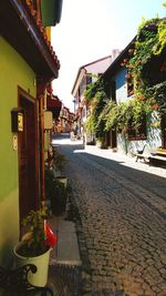 Sidewalk by street in town