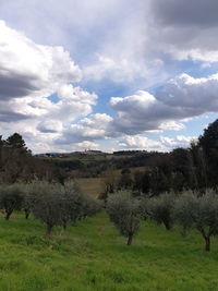 Scenic view of land against sky