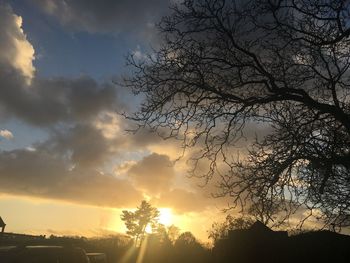 Low angle view of silhouette trees against sky at sunset