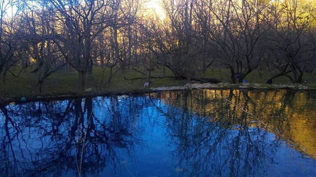 tree, tranquility, water, reflection, tranquil scene, lake, bare tree, scenics, beauty in nature, nature, branch, waterfront, idyllic, growth, standing water, sky, non-urban scene, outdoors, no people, calm