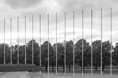 Row of flagpoles in a park