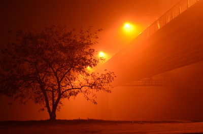 Silhouette of and bridge lit up by orange street lights