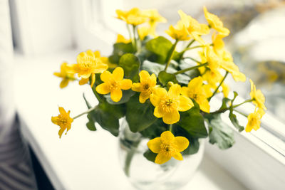 Small beautiful bouquet og first spring flowers on the window