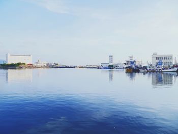 Reflection of trees in water