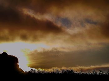 Silhouette of man against cloudy sky