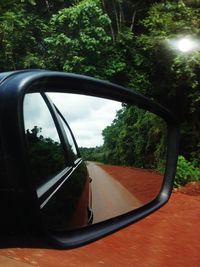 Reflection of trees on side-view mirror