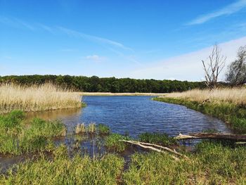 Scenic view of lake oder against sky