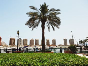 Scenic view of park against clear sky