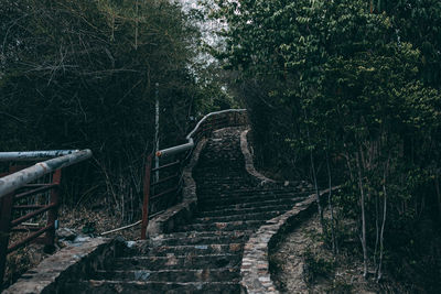 Old staircase in forest