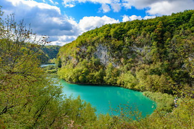 Scenic view of lake and trees against sky