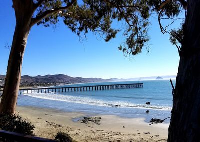 Scenic view of beach against clear blue sky